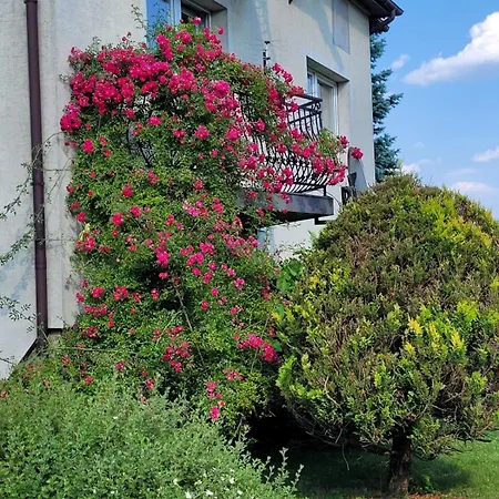 Orkana44f * Mszana Dolna