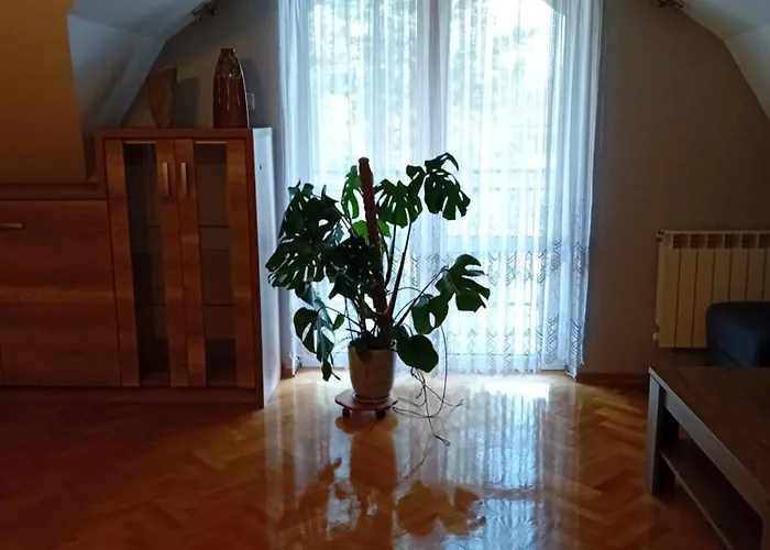 Orkana44f Apartman *