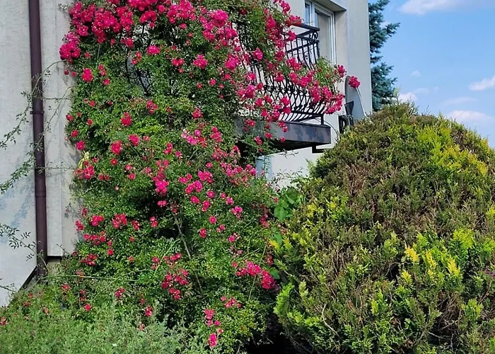 Orkana44f * מז'צ'אנה דולנה